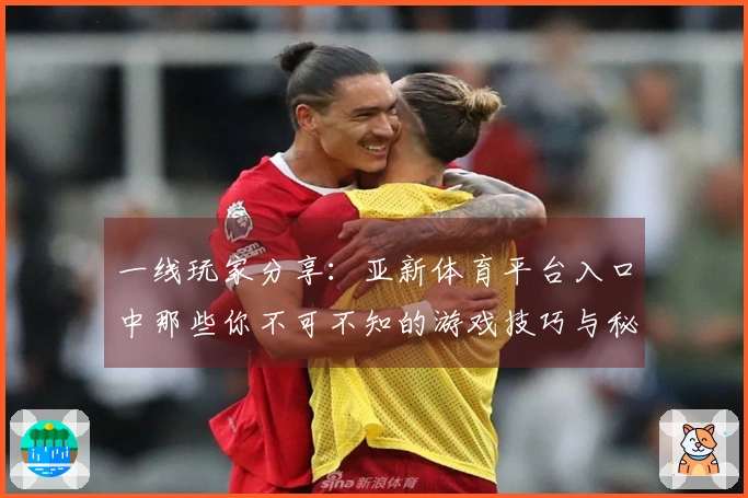 一线玩家分享：亚新体育平台入口中那些你不可不知的游戏技巧与秘籍