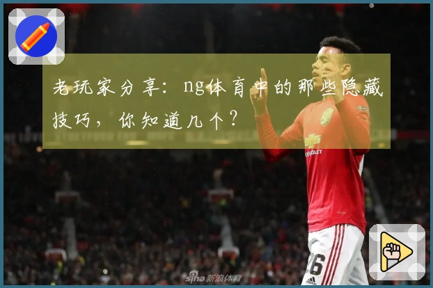 老玩家分享：ng体育中的那些隐藏技巧，你知道几个？